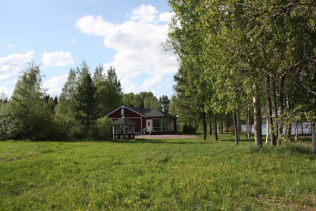 Cottage Baydar Jyraankoski Bagian luar foto